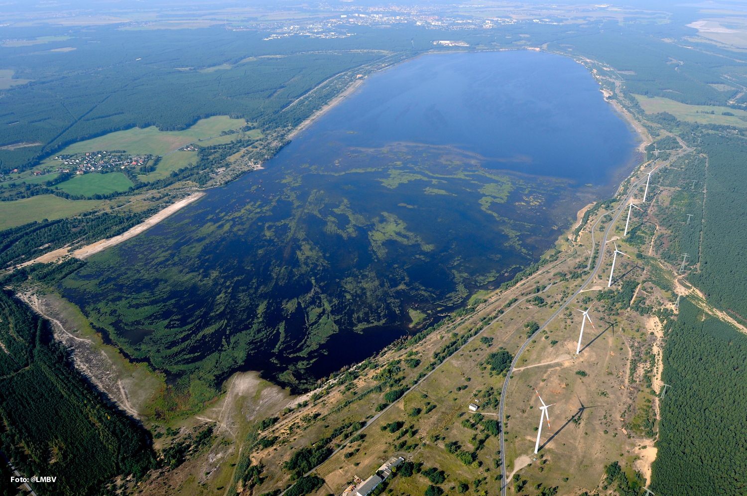 Scheibe See